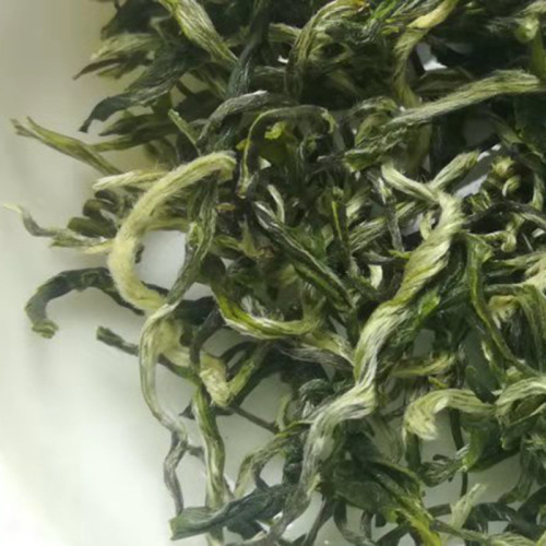 2024 Pre-Qingming New Green Tea, Straight Maojian, Rich Aroma, Long-Steeping, Emerald Tips, Qiaotong, Uniform White Hair Maojian, Qu Bo, E-commerce Supply