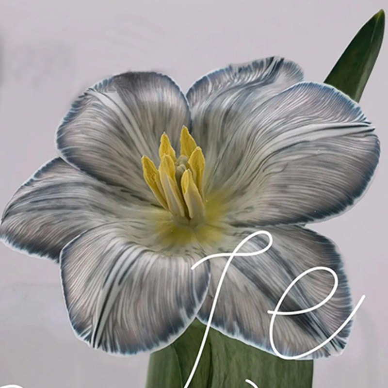 Material de embalaje de flores frescas Agente de tinción en aerosol de flores secas Salsa de ciruela negra Pintura en aerosol de flores Pintura en aerosol de flores Agente de color de flores