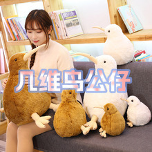 �羳���������m���B�׾S�Bë�q����殐�B����С�B��ż�����޶Y��