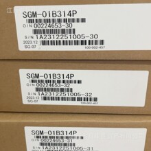 SGM-01B314P�����ŷ����ȫ�¿����Ʒ�ʱ�һ���ػݳ���