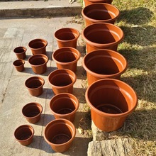 ���Ի������ϻ���Nֲ������@ˇ����N����Gֲ�A�ͷ�߅�Ӻ���