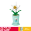 Narcissus (Lele Brothers 8815-23)