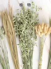 ��ϸɻ�������β���������������JȔ�Ҿ��b�DIY�廨����