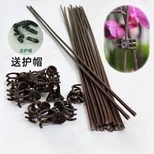 �����m��֧���m�A��֧�ΗUֲ�����ٻ��̶ܹ�����@ˇ�m���A