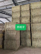 һMޣݸɲޣһϻޣ100ޣ