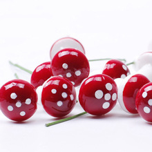 ̦�\΢���^�[�� �tɫ��ĭ Ģ����� DIY�M�bС�[�����