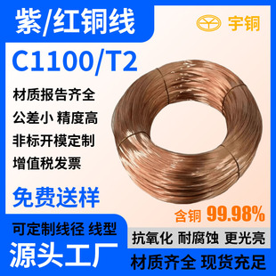 ����T2���g���~�� �˻����~�z�Ɏ��S ���I�t�~��