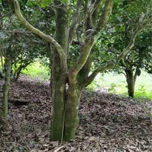 u^2024괺һ̖@500Լߴr~