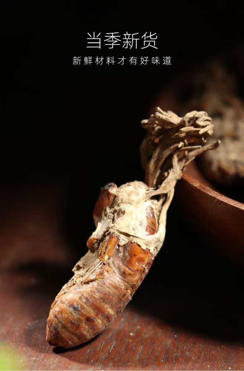 Jin Chan Hua (Cordyceps cicadae) — Dried Food-Herb Fungus for Decoction & Soup key features