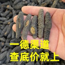 厂家批发海味干货100头淡干土耳其海参泡发率高肉厚