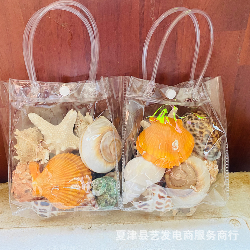 Natural shell conch sea star suit fish tank landscaping material bag scenic spot stall hot souvenir manufacturers in stock