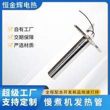 厂家直供慢煮机发热管不锈钢PTC慢煮棒加热棒电热管配件定制加工