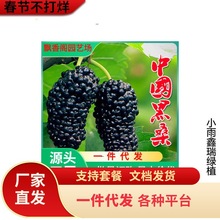 һ�����lɣ�������Ե���ʳ���ļ�ɣ���箔��Y���Ϸ������Nֲ���~