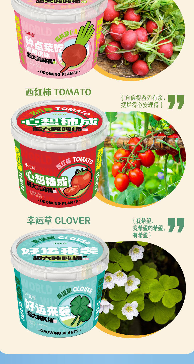 种植吨吨桶转曲_04