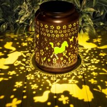 �羳���N��D��ӻ��@��ƺ�Շ����̨��ˮ�L��̫��ܑ���ͥԺ���\