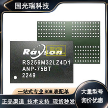 ���� RS256M32LZ4D2BNP-62BT RS1G32LX4D4BNR-53BT RS70BT7G4S16G
