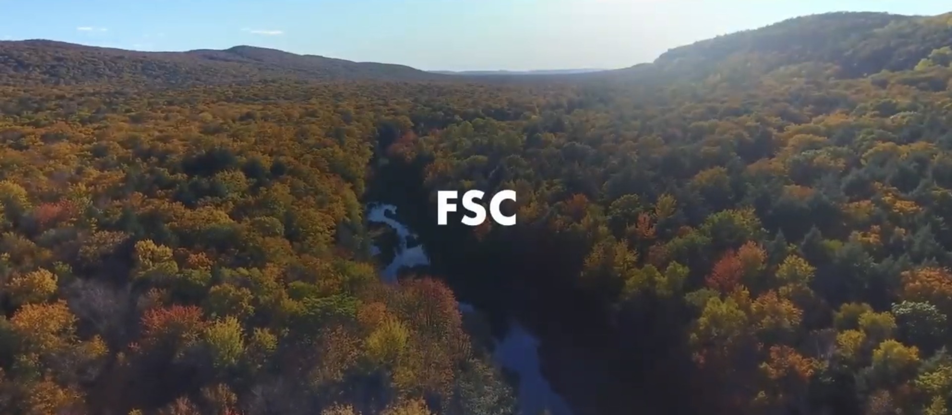 局部涂胶彩印标签医疗生物无尘标签低温冷冻标贴