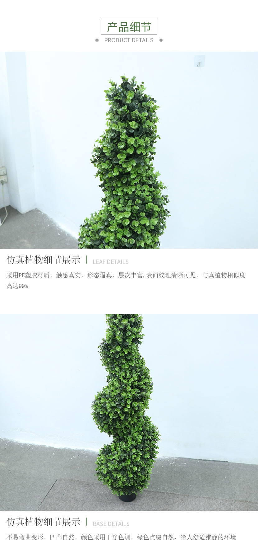 金钱叶_03.jpg