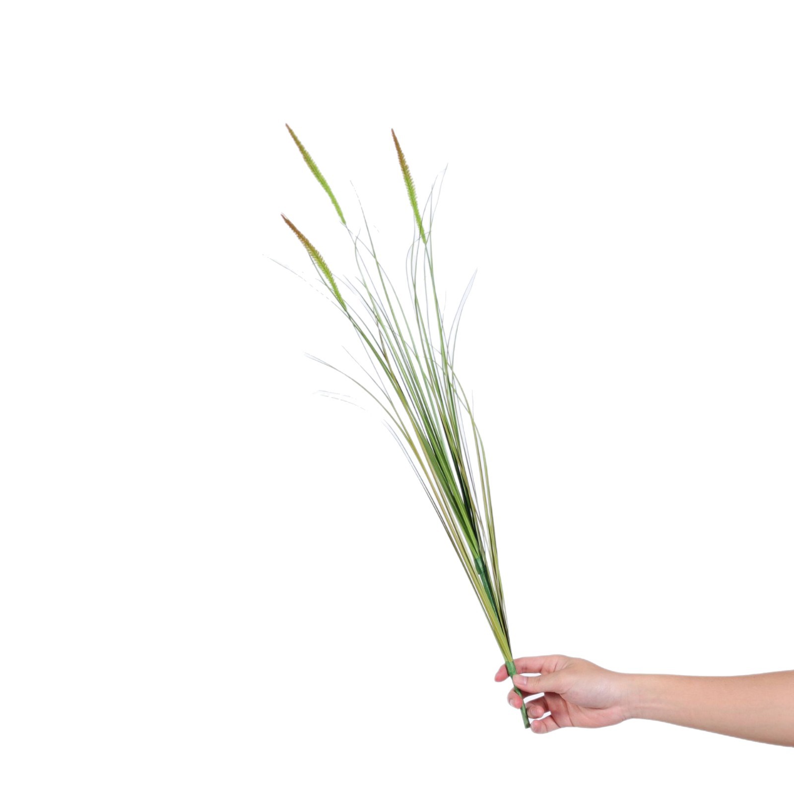 Reed de simulación de estilo nórdico, una sola rama, verde otoñal, cola de cachorro, decoración de interiores, decoración de arreglos florales para el hogar, césped falso, plantación verde falsa