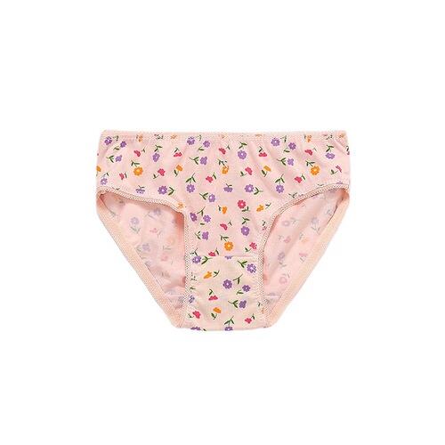 Children's underwear wholesale from the manufacturer, export floral cotton triangle pants for girls, suitable for both domestic and export, packaged in paper cards