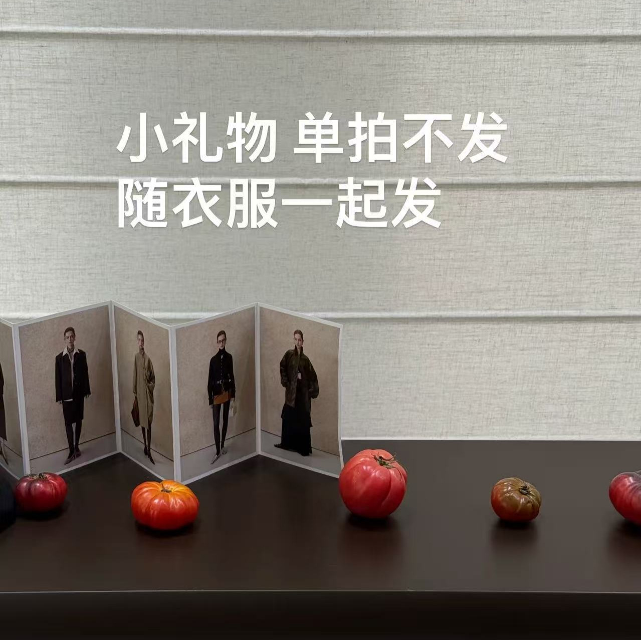 小礼物 单拍不发 不退换