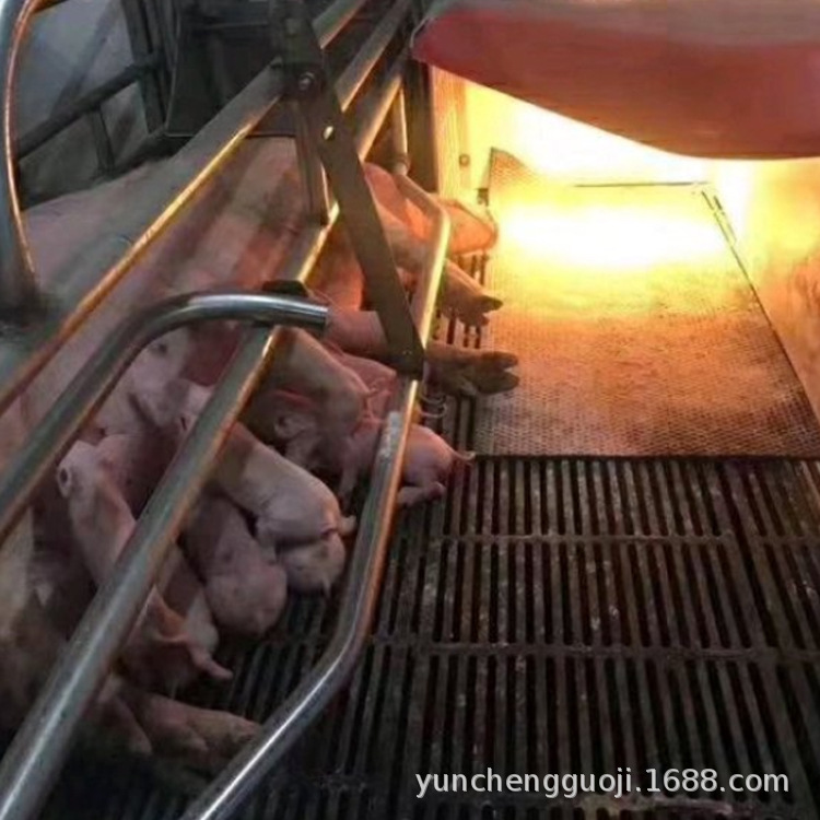 夹布款猪舍保温垫 小猪育肥垫 6mm8mm可按需生产防水防滑夹层