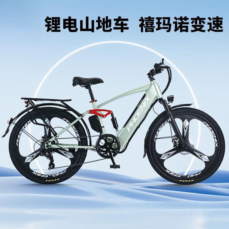 Phoenix Flagship Store Electric Power-Assisted Bicycle Adult Lithium Battery Electric Mountain Bike New National Standard Men's and Women's Battery