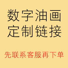 一件代发 数字油画diy手工填色客厅装饰画照片自定义私人油画