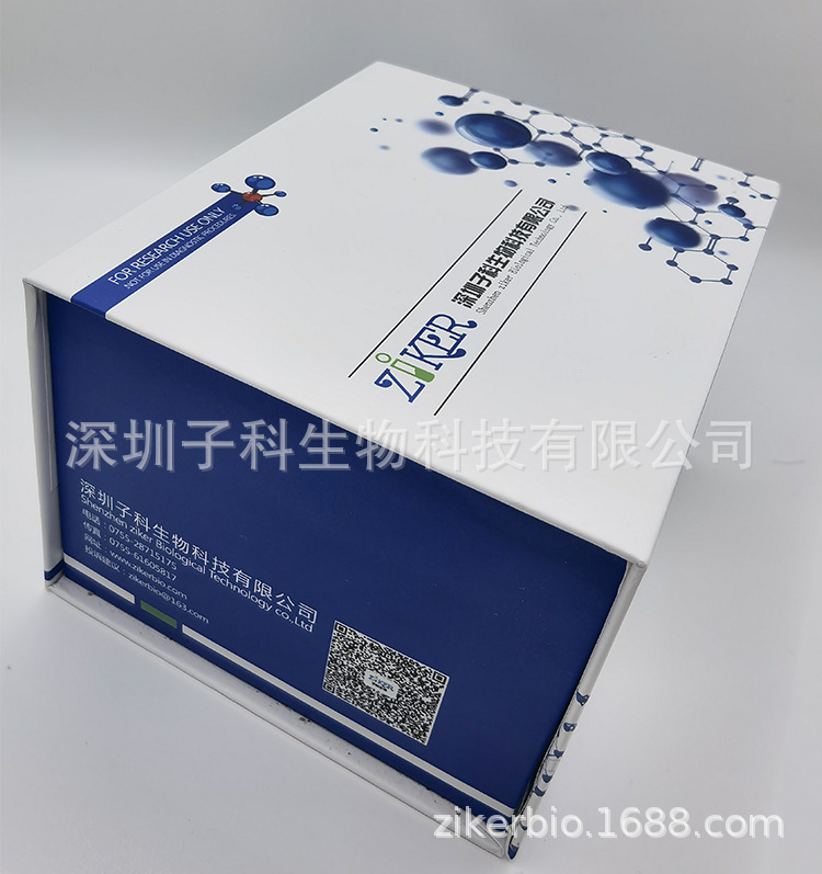 大鼠血清肌酸激酶CKELISA试剂盒