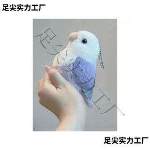 ����С�B��A������ɐ���ż����耳׿����W�^ë�q���������