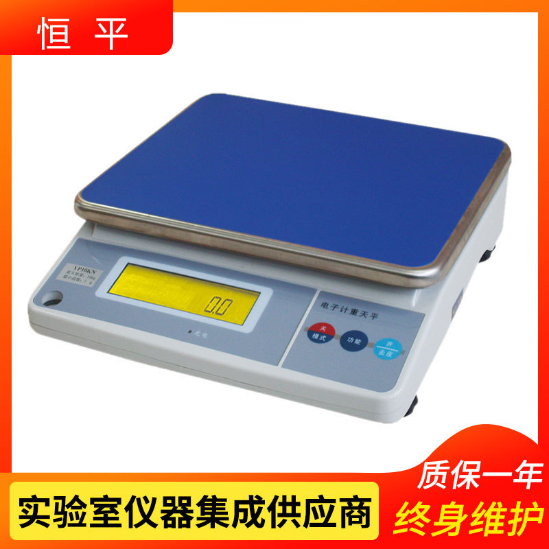 上海恒平     YP10KN    大称量电子天平