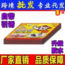 �������ճ��沶�������N���͏d���������N����Aճ���������