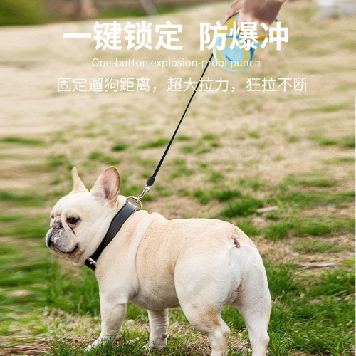 3m & 5m Dog Leash, Automatic Retractable Leash for Teddy Dogs, Pet Supplies—Wholesale for Small to Medium-Sized Outdoor Dogs