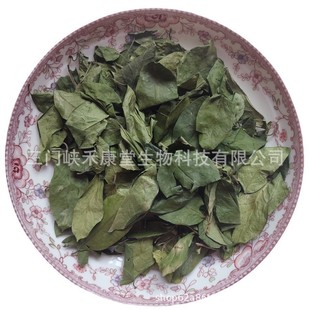 �F؛�׸����~ �׸����~ș��  ��ѥ���~ ������ Gymnema leaves