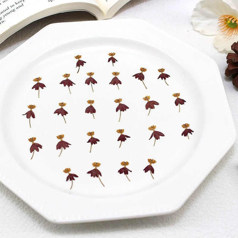 Танцевальная трава Сушеное тиснение с прессованными цветами с настоящими листьями образец растения закладка лепестки макияж тиснение настольная лампа свечи фоторамка