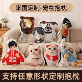 异形抱枕定制不规则抱枕被来图来样宠物卡通可爱动漫照片抱枕定做
