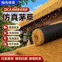 人造仿真屋顶庭院草坪
