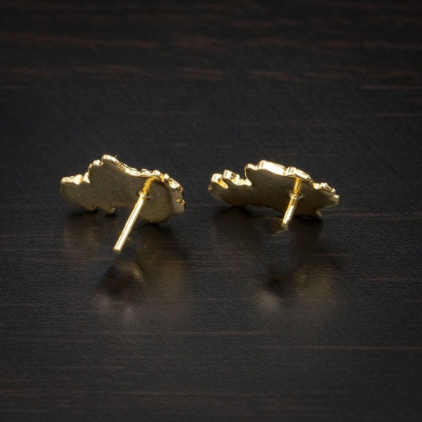 golden geometric fashionable earrings for men and women hip-hop…