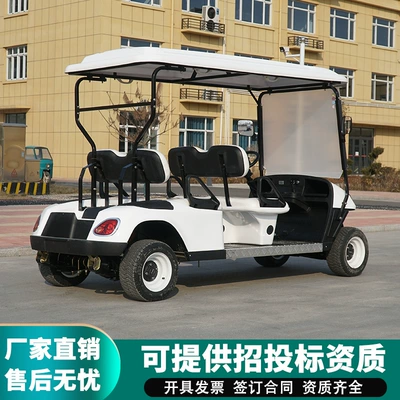 Electric Golf Cart | Gaofe Auto Parts and Accessories