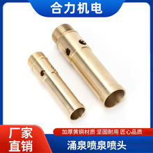 黄铜涌泉喷泉喷头鼓泡喷头园艺花园水池水景景观喷头4分6分1寸接