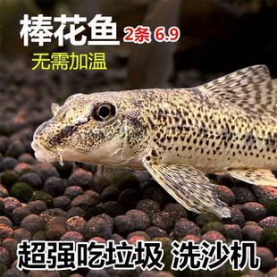 �����~ ���A���~ �Ԛ��� �~�S ��ˮ����� ԭ����ˮ�坍�~ �����~