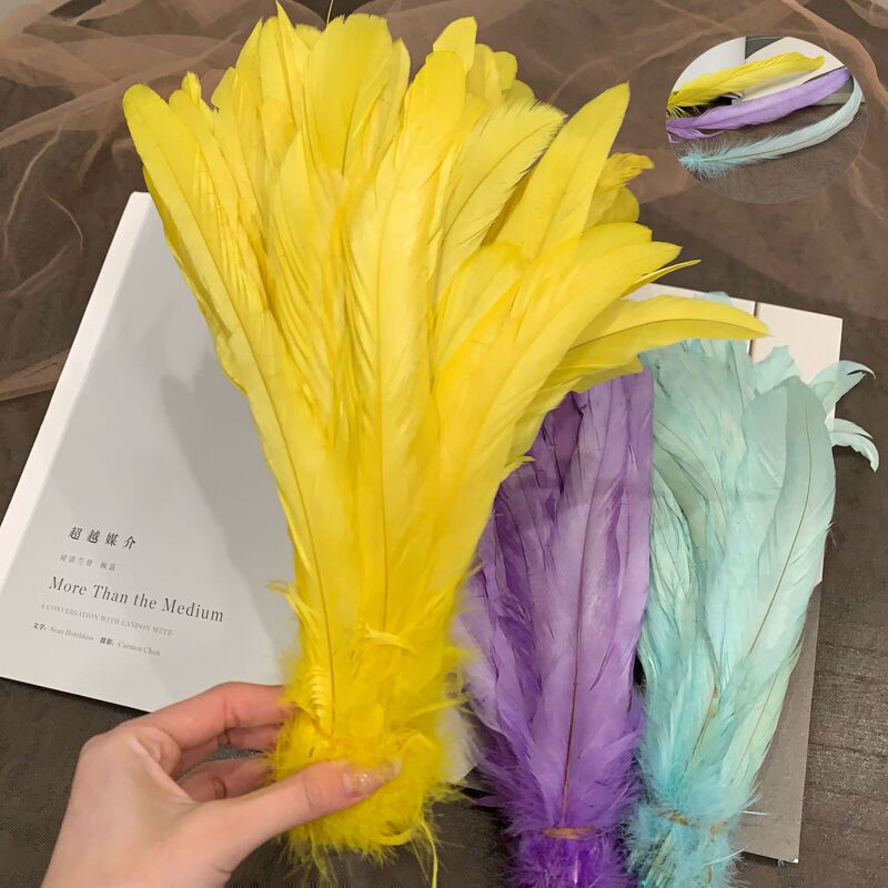 In-Stock Colorful Rooster Tail 20-45cm Faded Dyed Feather Decoration Cat Teaser Wand Toy Material Available in Multiple Colors