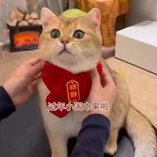 ����؈�������������tɫ��ůؐ�Ї��L��ˮ����������b�Ʒ���