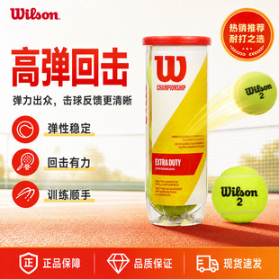 ��Ʒwlson�����dUS OPEN�W�򌣘I��ِ�Љ�Ӗ������ĥ���WͰ�b