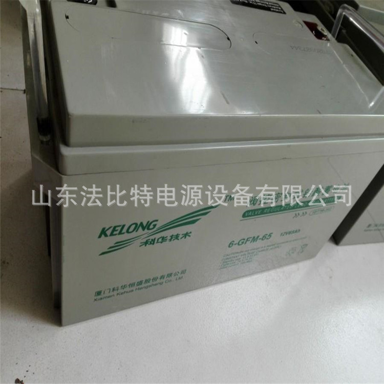 科华铅酸蓄电池6-GFM-65/12V65AH医疗设备器材 6-GFM-65科华