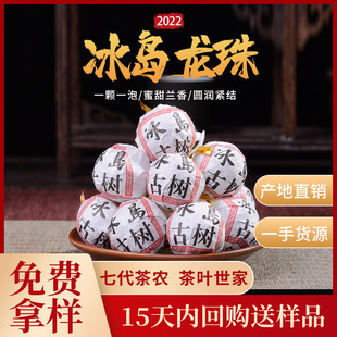 ����ն�������u���Įa�^2020��Ř�贺��8�˱��u����������