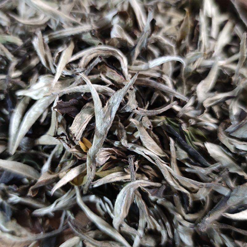 云南手工白茶散装五月茶叶特级工夫茶