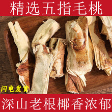 ��ָë����ș���Ҝ����ϟ��u��ţ�̸�ʳ�ĸ�؛��ָë�Ҹ������߲�