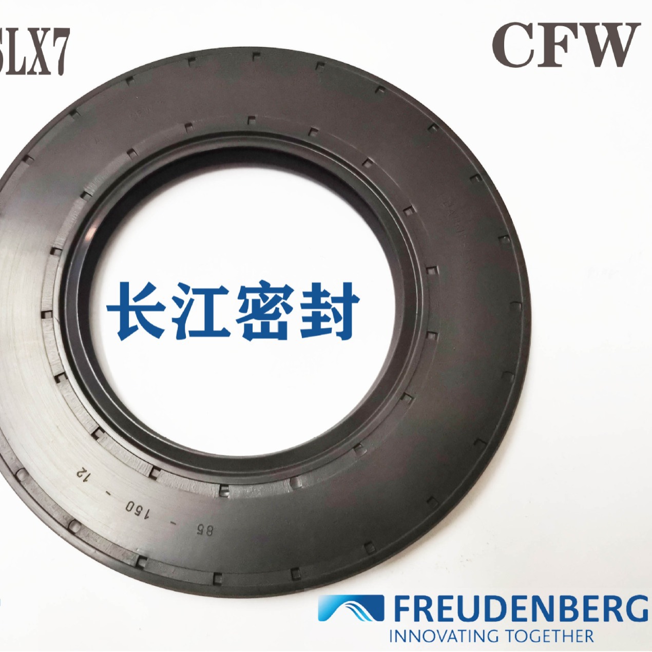 德国 CFW骨架油封BAU4SLX2 65-100-12/8 BAUM4SLX7 丁腈橡胶 氟胶