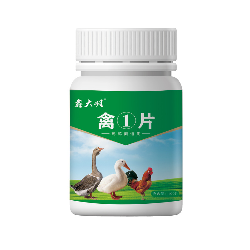 家禽① 家庭用腸の健康、呼吸器の健康、養鶏場での一般飼育、鶏、アヒル、ガチョウ、家禽製品|undefined